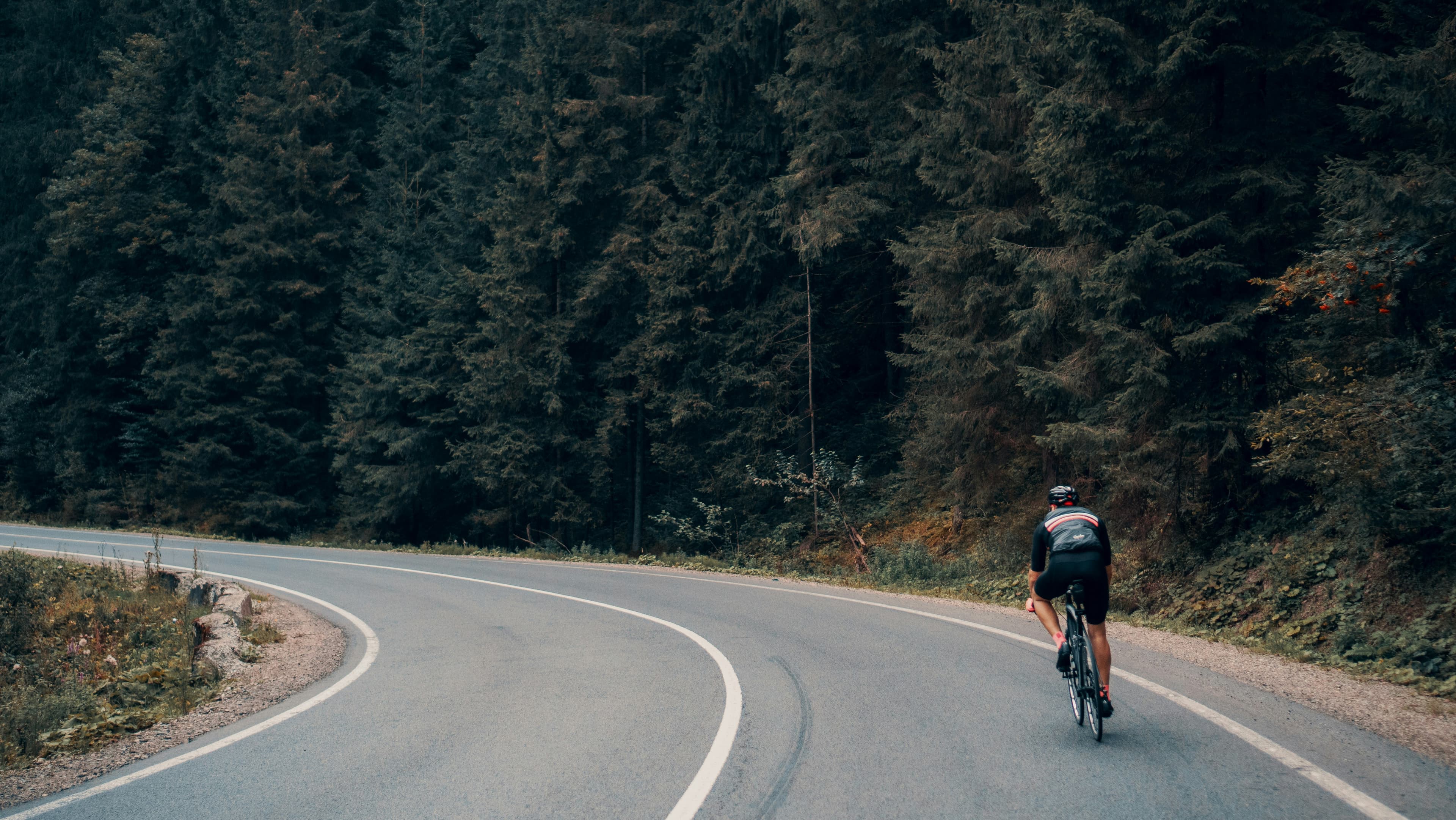 Cycliste sur une route asphaltée qui serpente dans une forêt