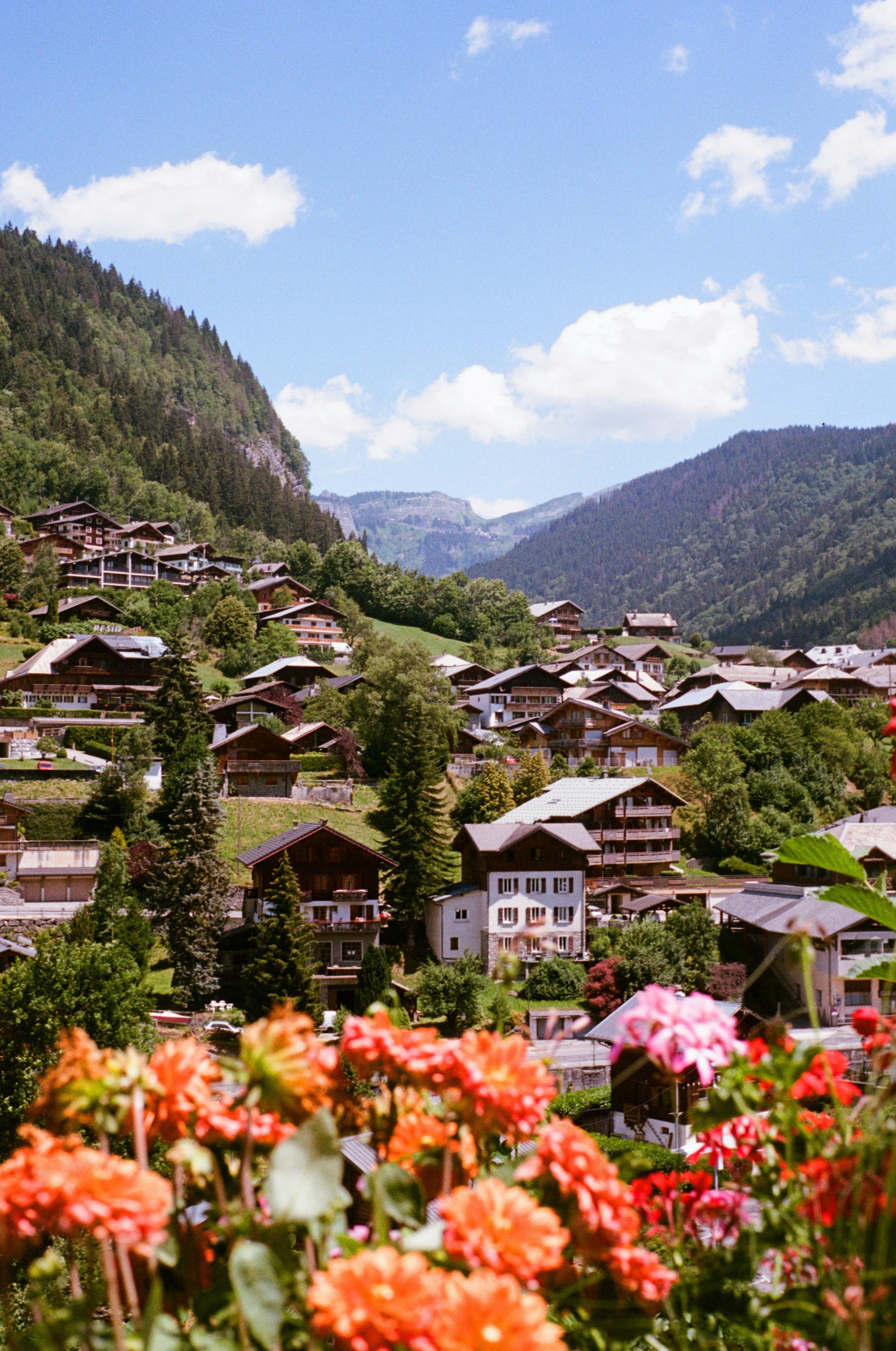 Village de montagne avec des fleurs au premier plan