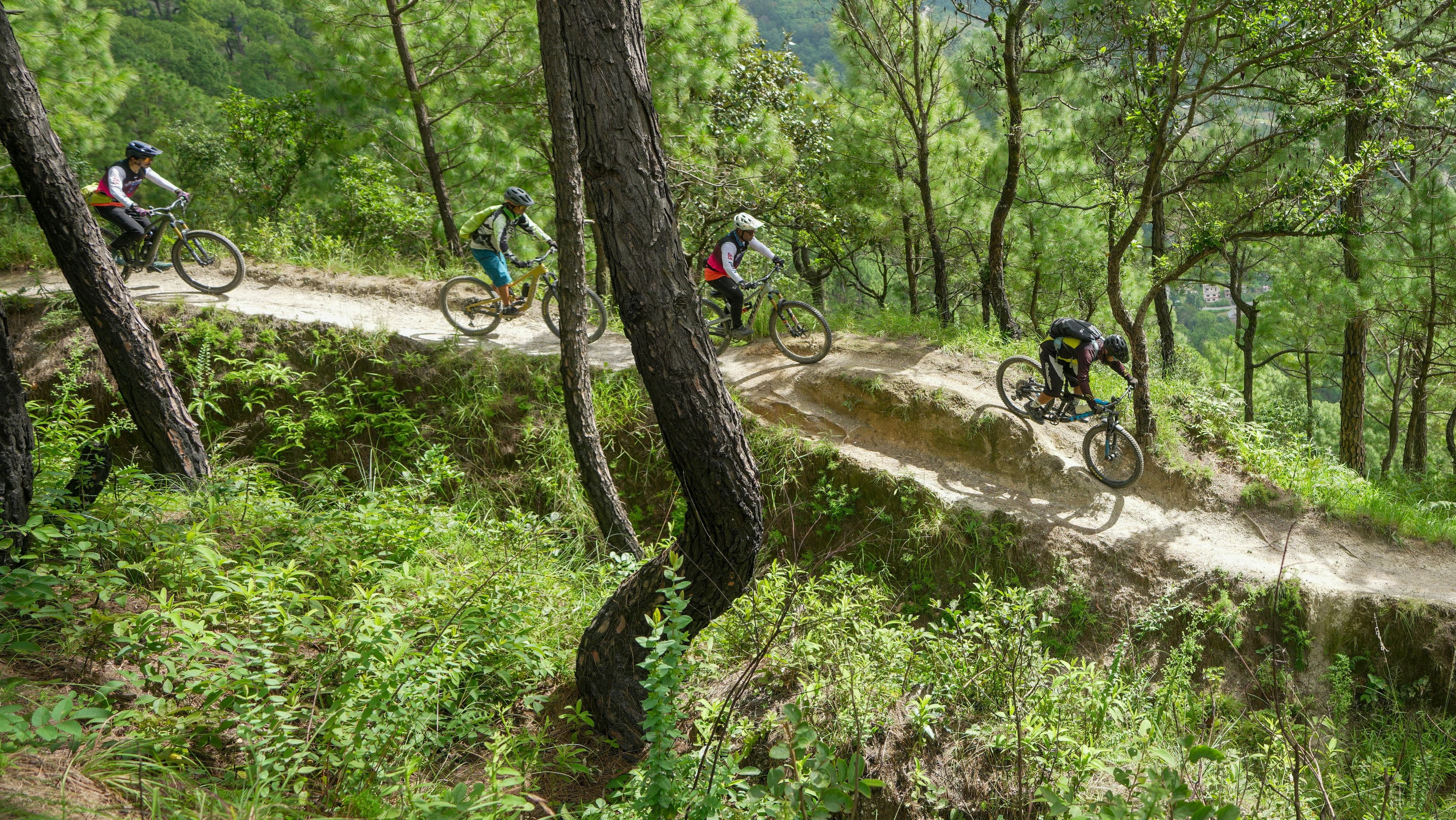 Cyclistes descendant un sentier de montagne boisé