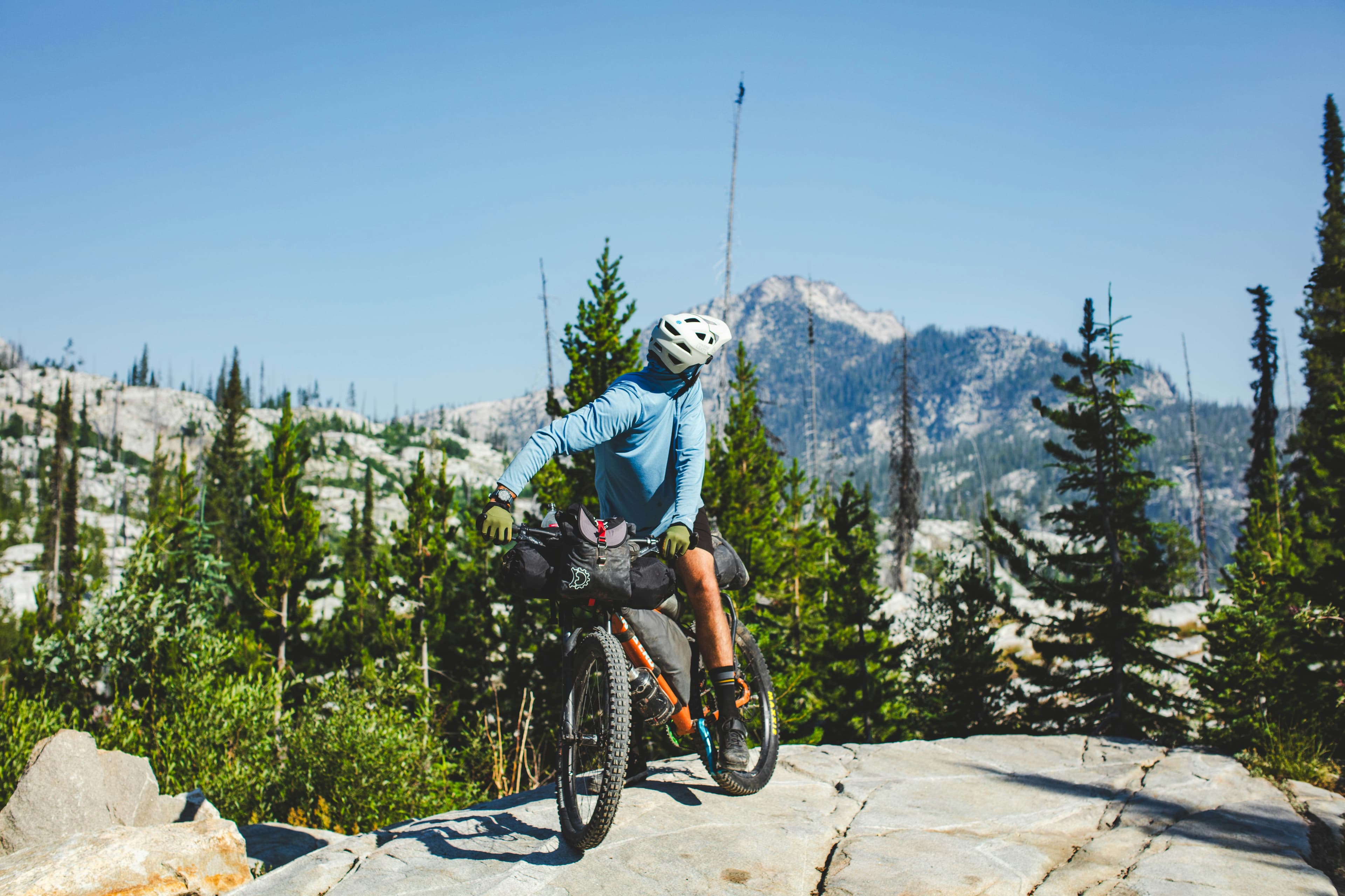 Vélo chargé pour l'aventure sur un sentier de montagne bordé de pins
